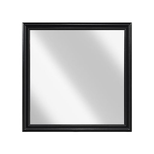 Mayville Mirror in Black 2147BK-6 image